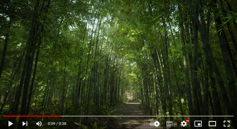 Bamboo Path (Unreal Scene)